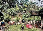 Cemas Melanda, 2 Kali Longsor Ancam Rumah Warga Kp Kolong 6 Kijang