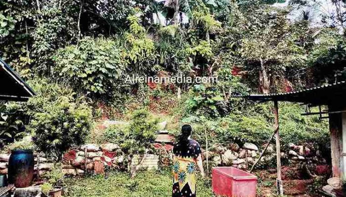 Cemas Melanda, 2 Kali Longsor Ancam Rumah Warga Kp Kolong 6 Kijang