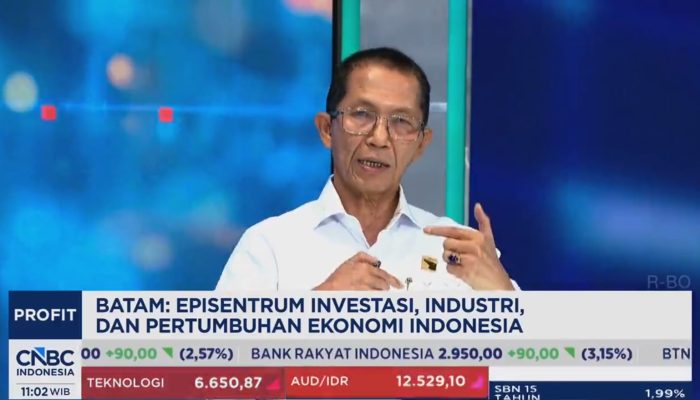 Batam Kian Dilirik Investor, Amsakar Ungkap Kunci Lonjakan Investasi