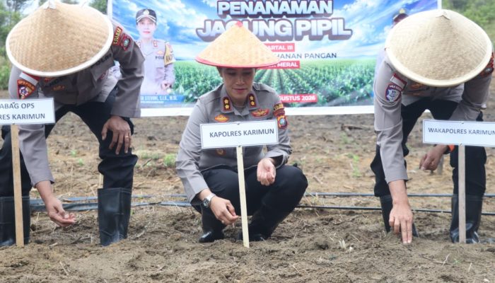 Polres Karimun Bersama BUMDes Pangke Barat Laksanakan Penanaman Jagung Pipil Kuartal III Tahun 2026