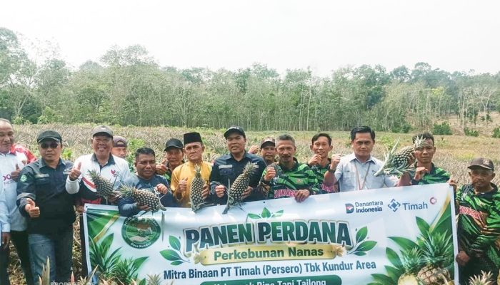 PT Timah Buktikan Potensi Pertanian Kundur Bisa Gerakan Ekonomi