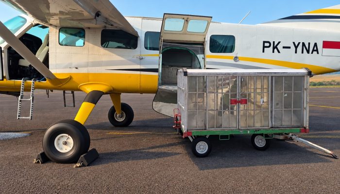 Jaga Ketersediaan Air Baku Batam, BP Batam Siapkan Operasi Modifikasi Cuaca